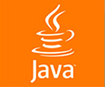 淄博網贏信息技術JAVA開發部門正式成立